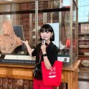 티켓투어(주) 이미지