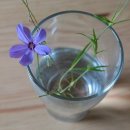 오월(5월) 1 이미지