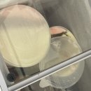 공짜당커피 김해지내점 | 내외동 점심 맛집 한백정돼지국밥 김해 돼지국밥 맛집 :: 수육백반이 레전드