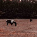 (유)정에너지 이미지