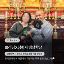 댕댕학당 이미지