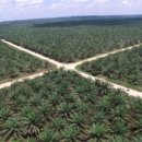 대한종합상사 이미지