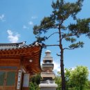 대각디앤씨(주) 이미지