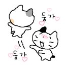 매소홀로1L 이미지