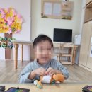 고려 유치원 | 유치원교사가 알려주는 유치원 선택할 때 꼭 고려해야 할 사항