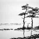 드로잉(소묘) & 스케치 이미지