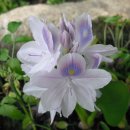 어둔이 화장실 1 이미지