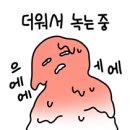 장치국수