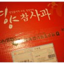 참이슬 농원 이미지