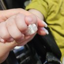 마산 이마트건너편 | 우당탕탕 7월의 순간들 모음.zip - 집 밖은 언제나 이슈천국