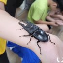 사등유치원 이미지