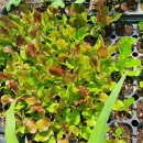 해님농장 이미지