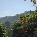 중천농장 이미지