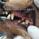 서초힐스동물병원 이미지