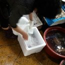 합동상회 이미지