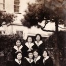 여고시절 이미지