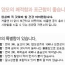 청담코디센 이미지