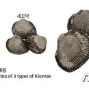 진포수산 이미지