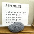 몽돌카츠
