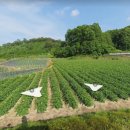 영주땅공인중개사사무소 이미지