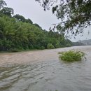 남강약국 이미지