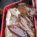 백호피싱