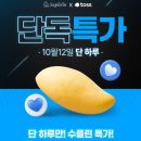 골드망고/애플망고/못난이망고 등 12,900원~ 무배 이미지