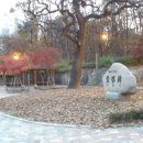 정발산공원 산책로 입구 이미지