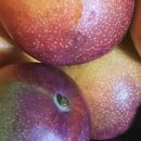 완도농장 이미지