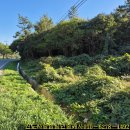 가단공인중개사사무소 이미지