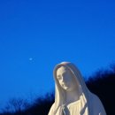 골든힐폼 이미지