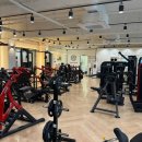 트라이짐 이미지