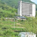 쌍계사십리벚꽃산장