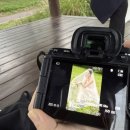 모노시크 - 종로구 | 세 번째 로망 실현기📷 모노페이퍼 웨딩촬영 후기 (근데 가을을 곁들인..🍂)