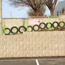 모빌원모터스 이미지