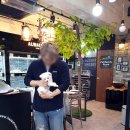 해피애견타운 분당판교점 이미지