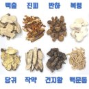 선약한의원 이미지