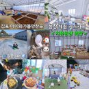 정감농장 | 경기 김포시 농장 체험 키즈카페 아이와가볼만한곳 <치유농장 뒤란> 내돈내산