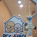 수원-1205 | 수원애견호텔 소수정예 개별룸 멍's스테이 데이케어 솔직 후기