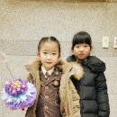 으뜸과학유치원 Daum카페