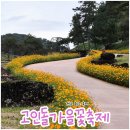 고인돌 조형물 | 2025 화순 고인돌 가을꽃축제 주말 방문 리뷰 후기 (정보/주차/먹거리)