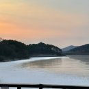 세븐일레븐 파주마장호수점 | 파주 마장호수 뷰 강아지 동반 카페 베르테라