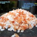 소금과사람들