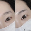 뮤즈브로우 | 노원눈썹문신 브로우뮤즈 방문 후기, 고민 끝에 선택한 만족스러운 변화
