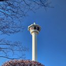 용두산공원 | 부산 남포동 가볼만한곳 용두산공원 미디어 파크 에스컬레이터 부산타워 전망대 후기