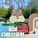 청개구리작은도서관 | 화성 조용히 걷기 좋은곳 크지 않지만 걷기 좋은 다람산공원