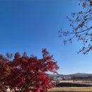 하늘내린골프랜드 | 숏게임 퍼터 실력 업 :: 영재파3 골프랜드