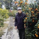 금지마을회관 이미지