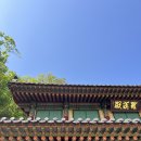 가평 대원사 템플스테이 / 당신의 맛 촬영지 절 어디 / 수도권 템플스테이 후기 / 쌀바게트 맛집 르봉뺑