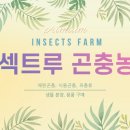 모라초등학교 이미지